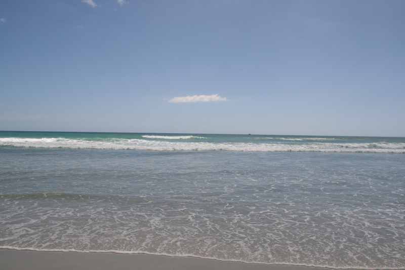 Nieuw-Zeeland 2011 - 0316